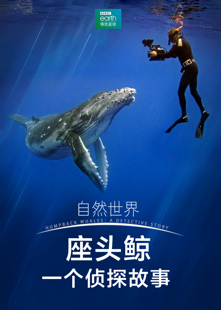 自然世界：座头鲸——一个侦探故事