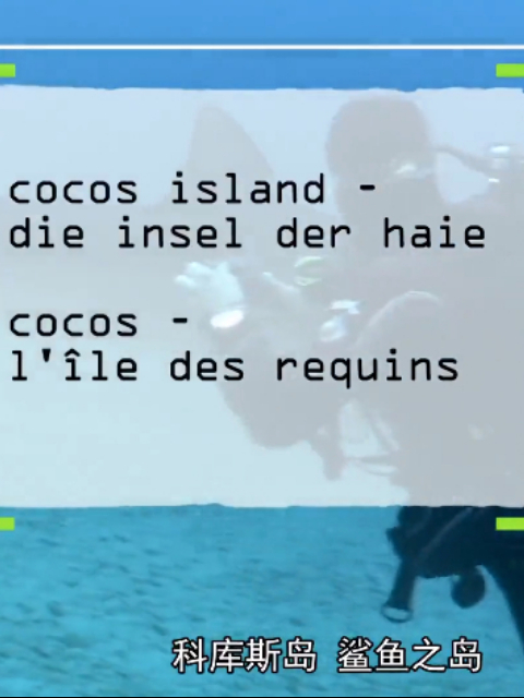 科库斯岛 鲨鱼岛