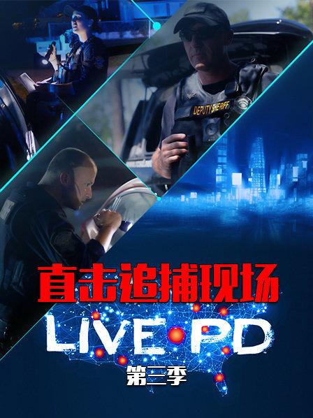 直击追捕现场：LIVEPD第3季