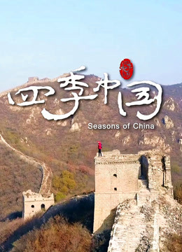 四季中国完整版