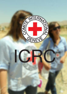 红十字国际微纪录2016