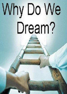 我们为什么会做梦