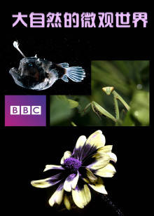 BBC大自然的微观世界