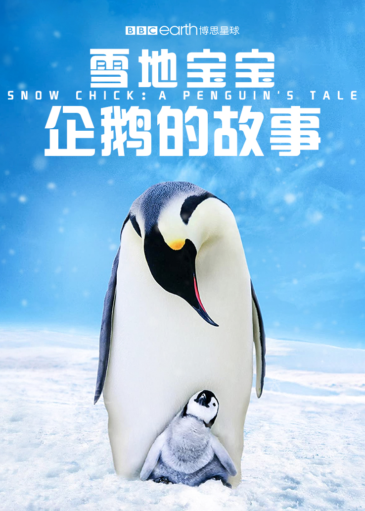 雪地宝宝：企鹅的故事