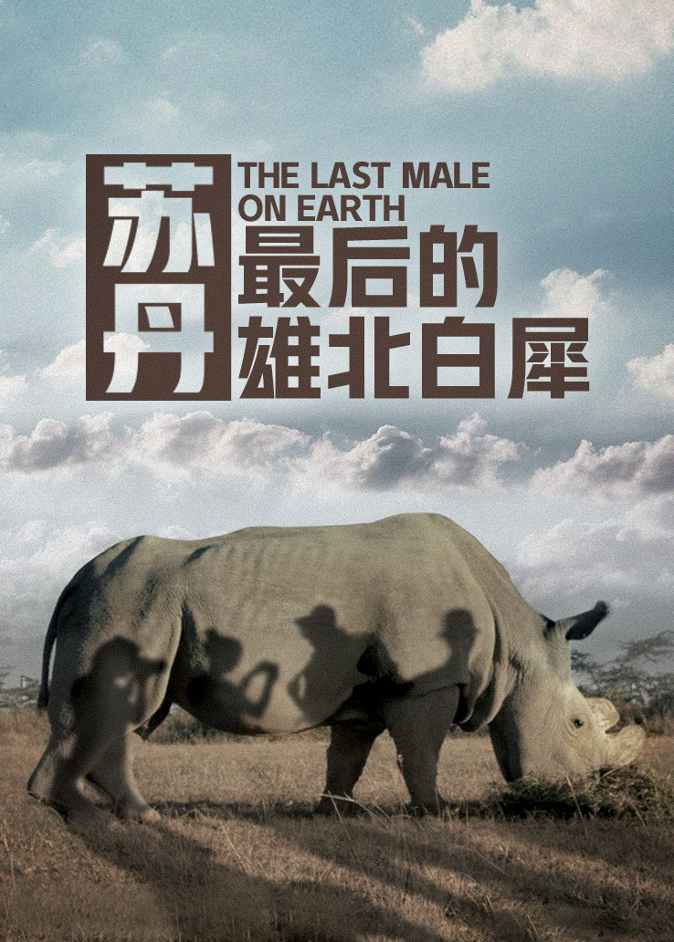 苏丹：最后的雄北白犀