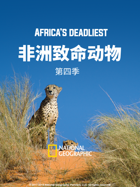 非洲致命动物 第四季