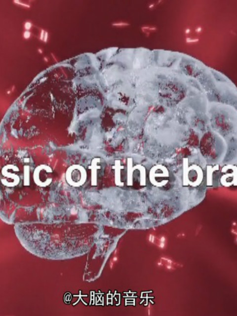 大脑的音乐